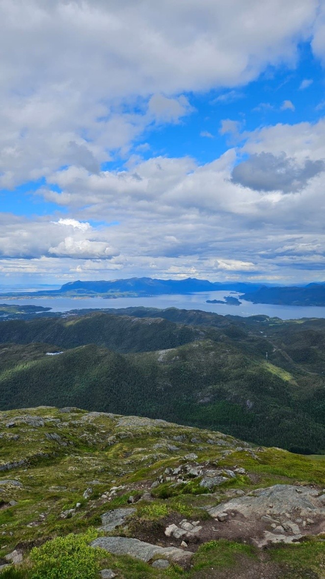 Blick über bewaldete Berge, Inseln und Fjorde unter einem wolkigen Himmel in Norwegen.